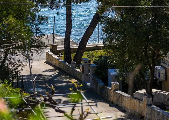 Paradiso Daire